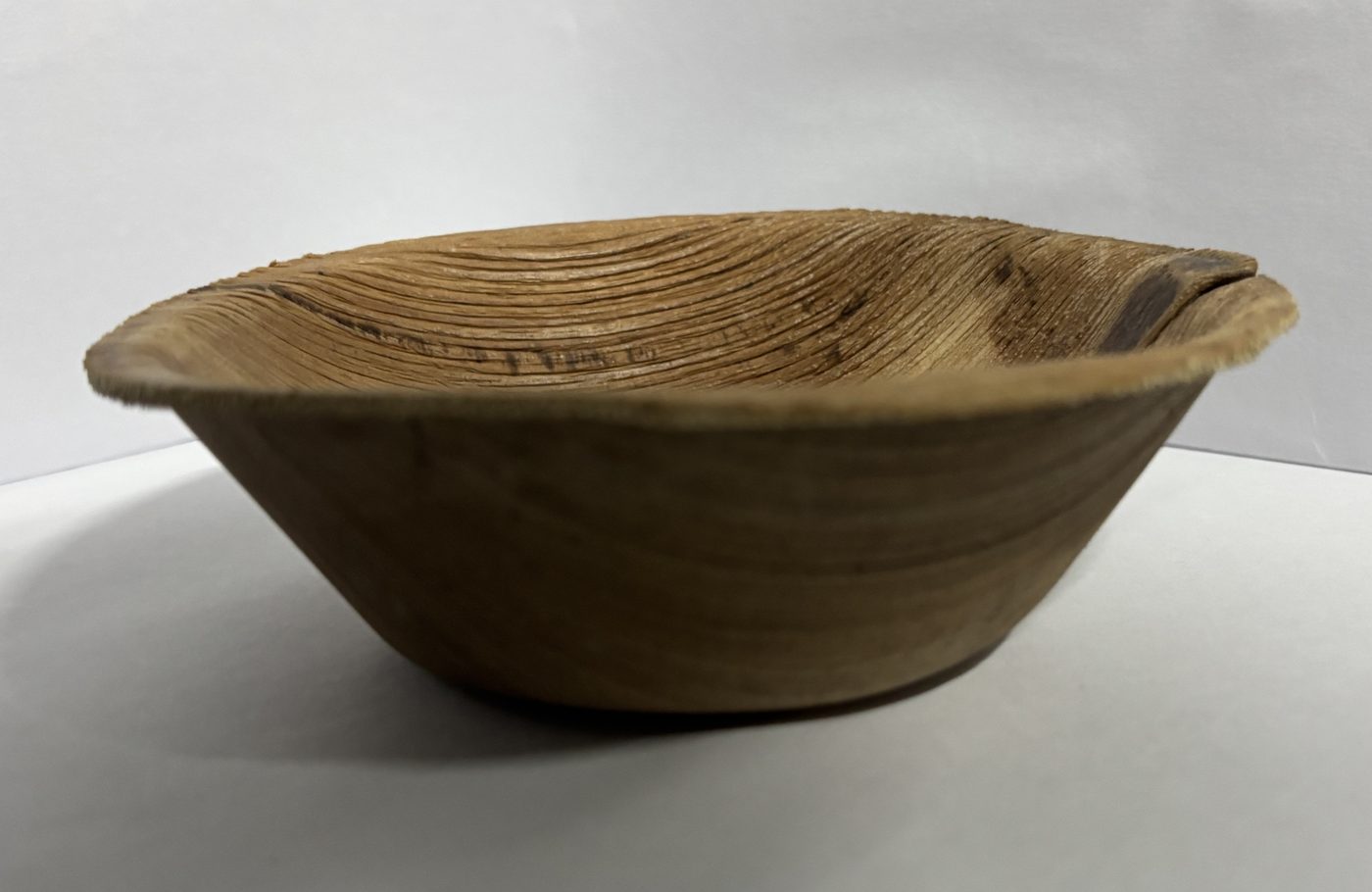 Areca palm leaf bowl — deep bowl for food service, natural and compostable
