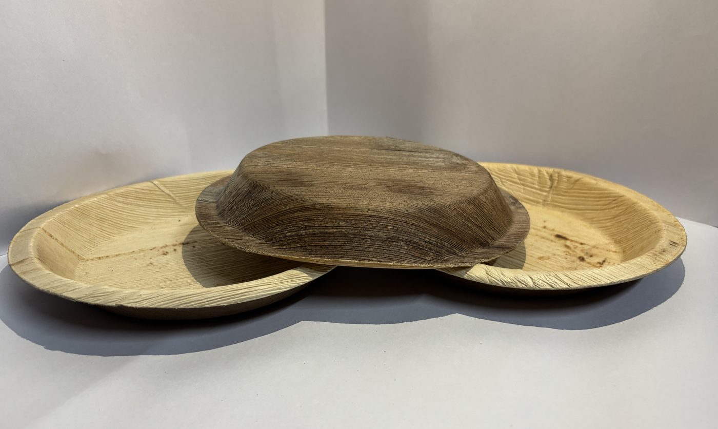 Areca palm leaf plate — angled view showing natural texture and grain